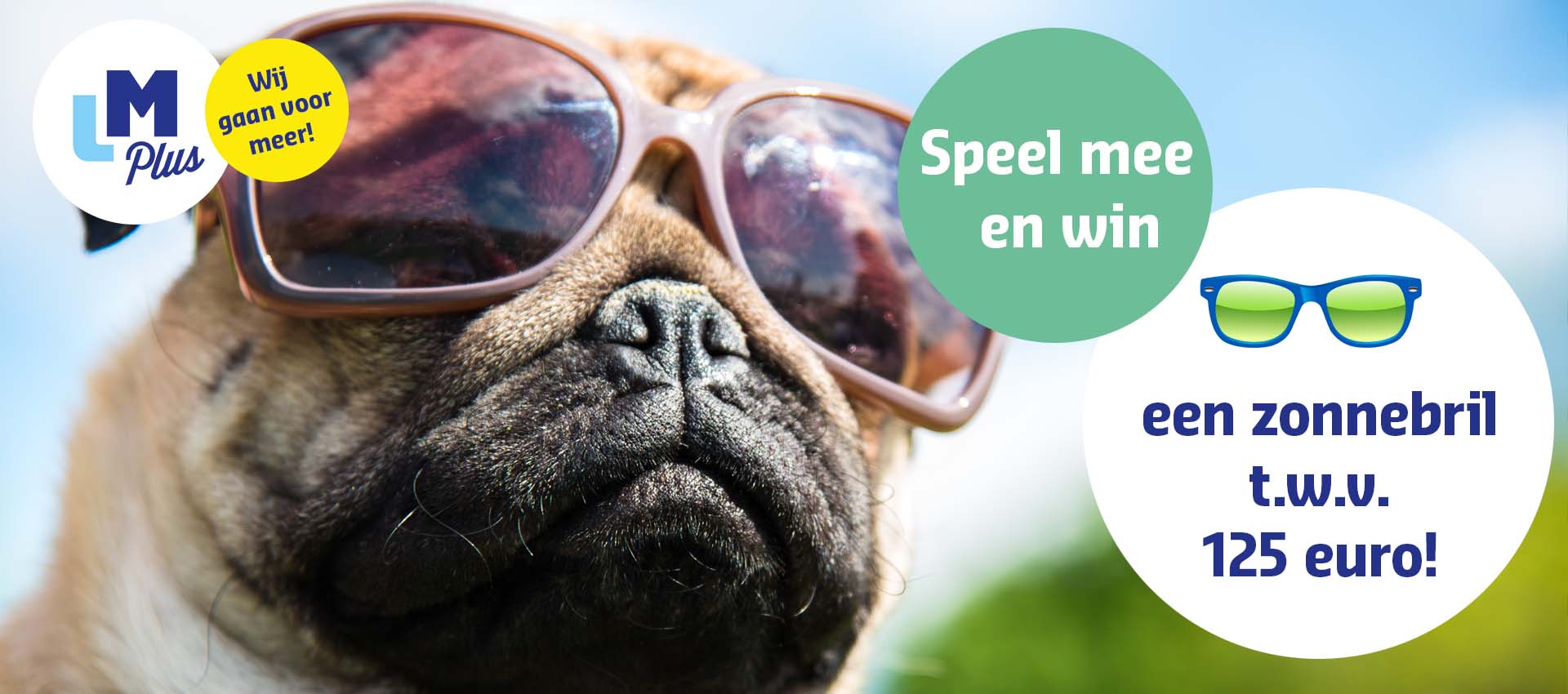 Zonnebrilactie LM Plus 2021